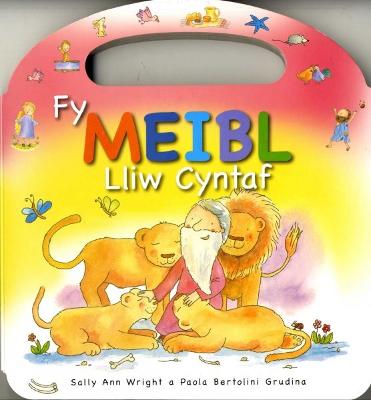 Book cover for Fy Meibl Lliw Cyntaf