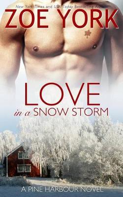 Book cover for Love in a Snow Storm