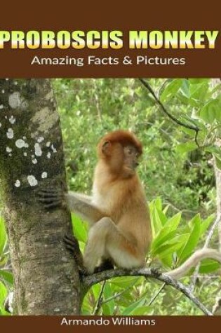 Cover of Proboscis Monkey