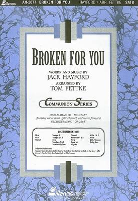 Book cover for Broken for You