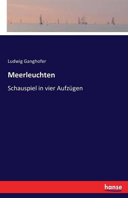 Book cover for Meerleuchten