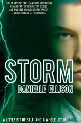 Cover of Storm (a Salt Novel)