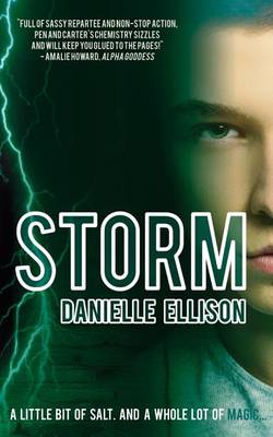 Book cover for Storm (a Salt Novel)