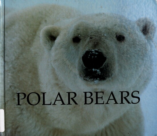 Book cover for Polar Bears