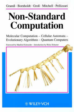 Cover of Non-standard Computation