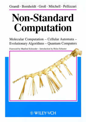 Book cover for Non-standard Computation