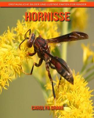 Book cover for Hornisse