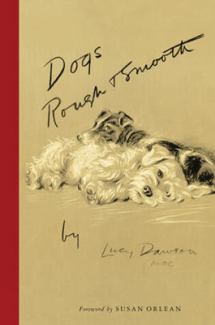 Cover of Dogs Rough and Smooth