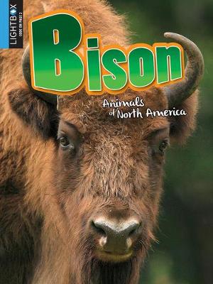 Book cover for Bison