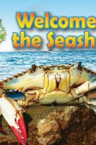 Cover of Welcome to the Seashore