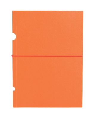 Book cover for Orange (Buco) B6 Lined Journal