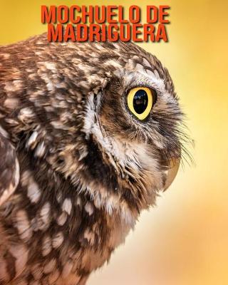 Book cover for Mochuelo de madriguera