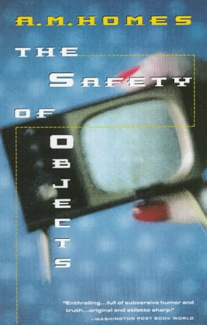 Book cover for Safety of Objects