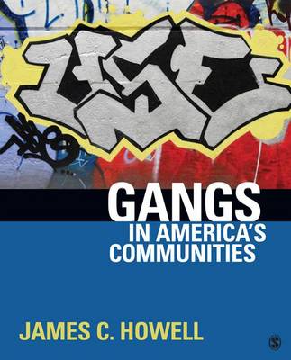 Book cover for Gangs in America's Communities