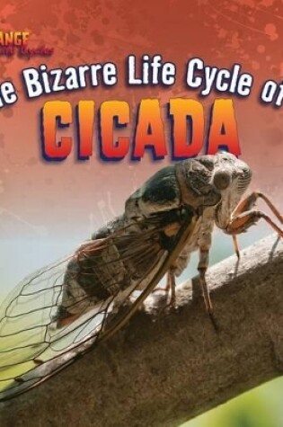 Cover of The Bizarre Life Cycle of a Cicada