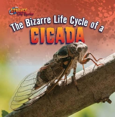 Book cover for The Bizarre Life Cycle of a Cicada