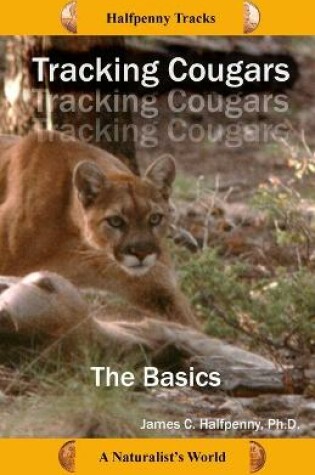 Cover of Tracking Cougars