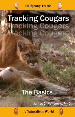 Cover of Tracking Cougars