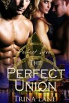 Book cover for The Perfect Union