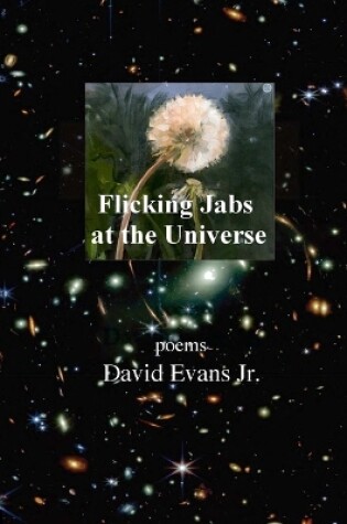 Cover of Flicking Jabs at the Universe