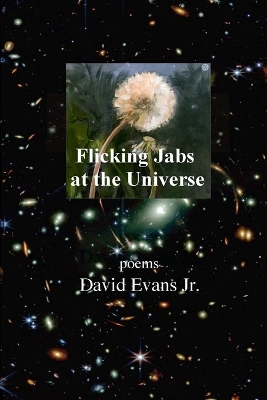 Book cover for Flicking Jabs at the Universe