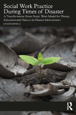 Cover of Social Work Practice During Times of Disaster