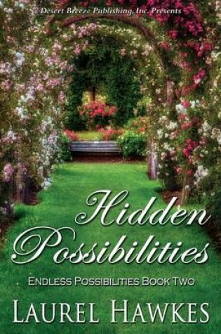 Cover of Hidden Possibilities