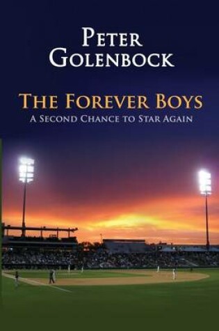Cover of The Forever Boys