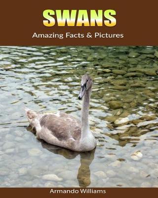 Book cover for Swans