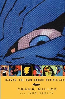 Book cover for The Dark Knight Strikes Again