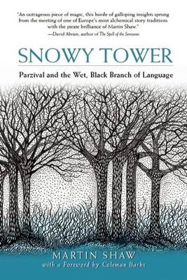 Book cover for Snowy Tower
