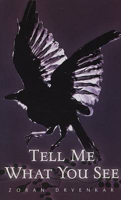 Book cover for Tell Me What You See