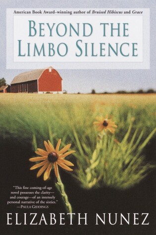 Cover of Beyond The Limbo Silence