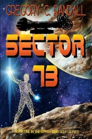 Cover of Sector 73