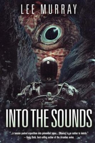 Cover of Into The Sounds