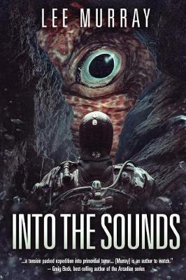 Book cover for Into The Sounds