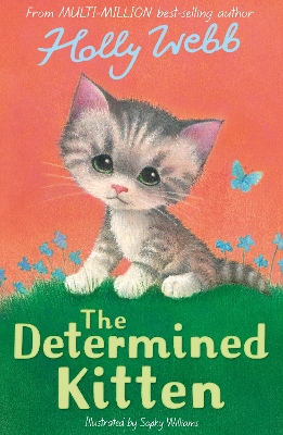 Cover of The Determined Kitten