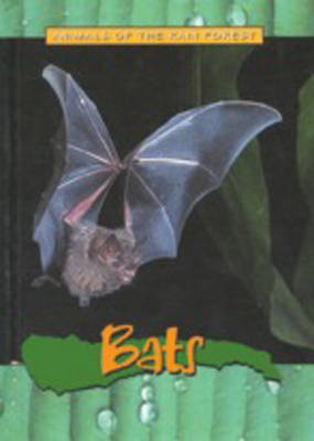 Book cover for Animals of the Rainforest: Bats