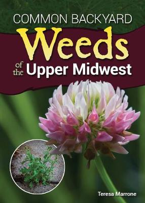 Book cover for Common Backyard Weeds of the Upper Midwest