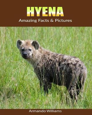 Book cover for Hyena