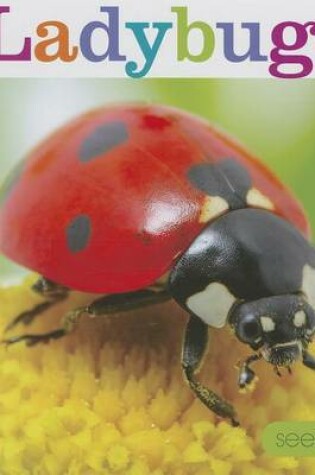 Cover of Ladybugs