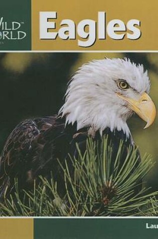 Cover of Eagles