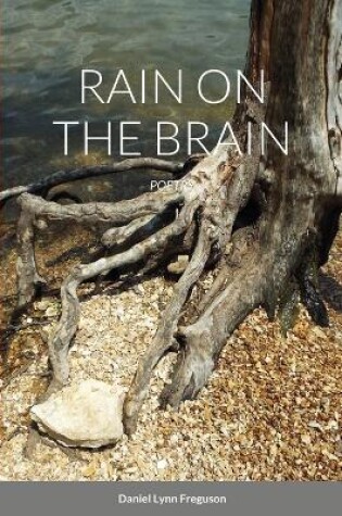 Cover of Rain on the Brain