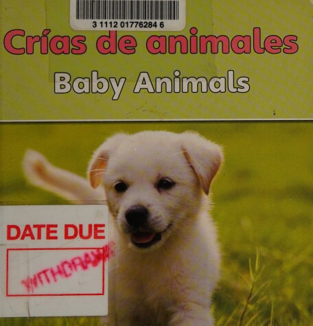 Cover of Crias de Animales