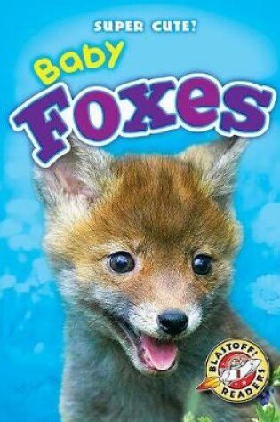 Cover of Baby Foxes
