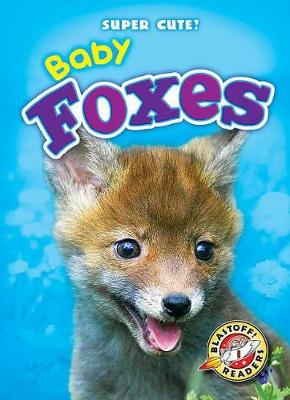 Book cover for Baby Foxes