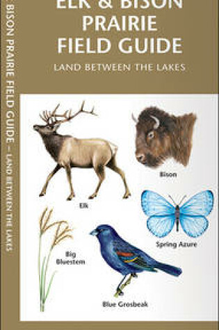 Cover of Elk & Bison Prairie Field Guide