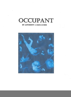 Book cover for Occupant