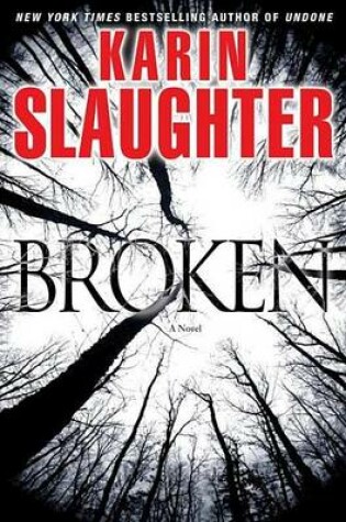 Cover of Broken