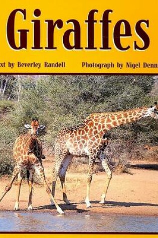 Cover of Giraffes